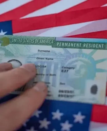 8e039a8c-2721-4300-8e3c-b1c028350ba4