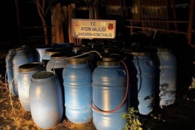 WhatsApp Image 2025-12-17 at 13.32.26