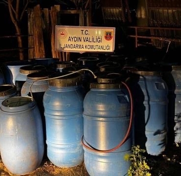 WhatsApp Image 2025-12-17 at 13.32.26