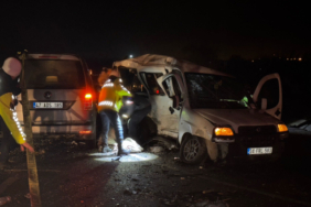 aa_picture_20251211_39956495