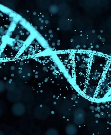 dna-depophotos-1712114