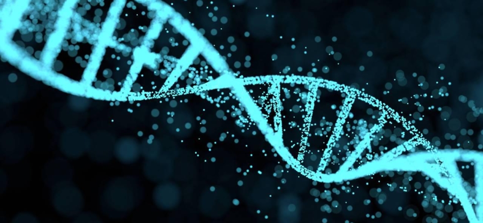 dna-depophotos-1712114