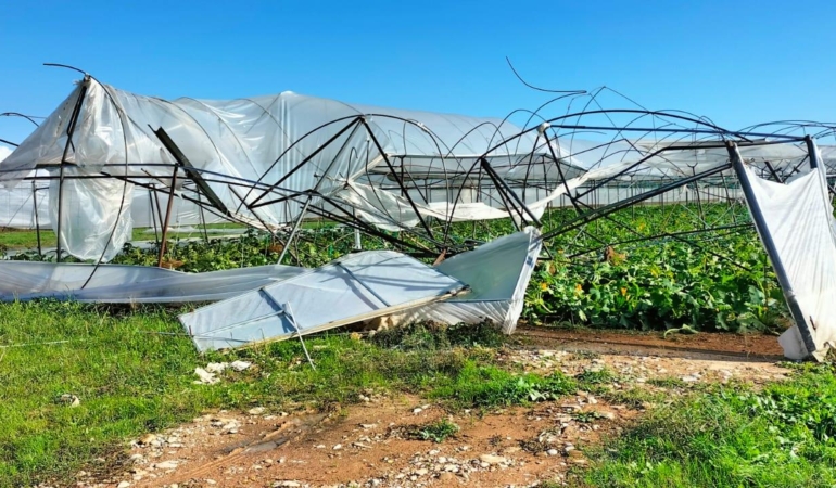 Antalya Manavgat’ı Hortum Vurdu: Seralar Yerle Bir Oldu!