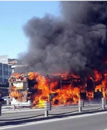 WhatsApp Image 2026-01-04 at 10.13.10