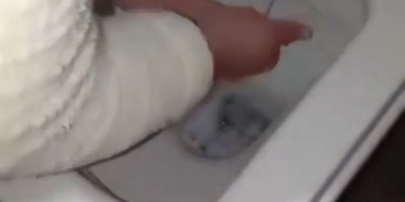 WhatsApp Image 2026-01-13 at 09.32.22