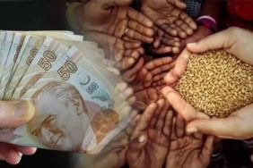 WhatsApp Image 2026-01-13 at 11.13.24