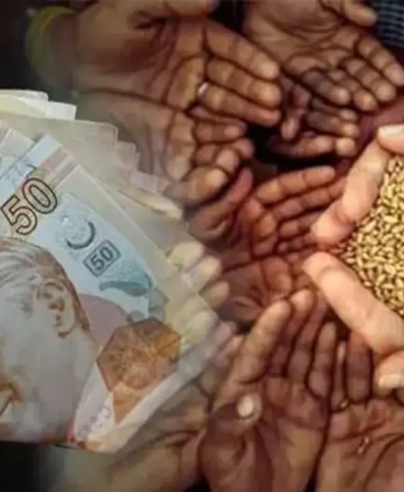 WhatsApp Image 2026-01-13 at 11.13.24