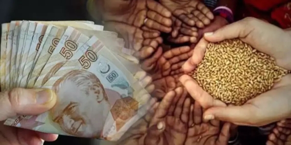 WhatsApp Image 2026-01-13 at 11.13.24