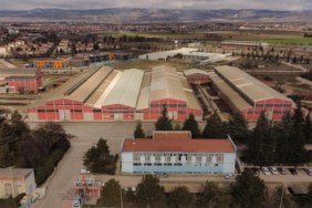 WhatsApp Image 2026-01-31 at 14.50.26