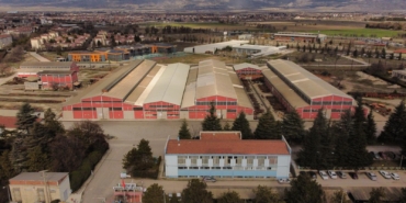 WhatsApp Image 2026-01-31 at 14.50.26