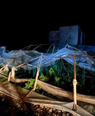 antalya-hortum-aa-2434036 (1)