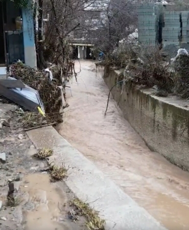 Ekran görüntüsü 2026-02-09 004205