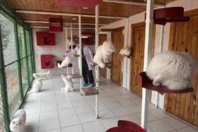 WhatsApp Image 2026-02-02 at 14.59.38