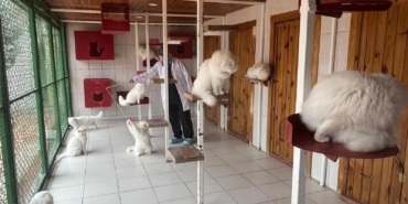 WhatsApp Image 2026-02-02 at 14.59.38