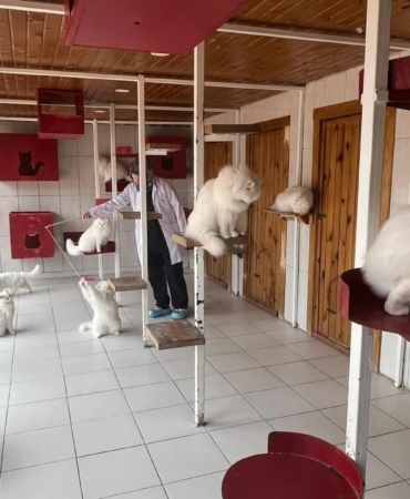 WhatsApp Image 2026-02-02 at 14.59.38