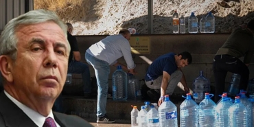 WhatsApp Image 2026-02-04 at 09.35.42