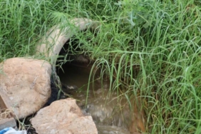 WhatsApp Image 2026-02-09 at 17.18.03