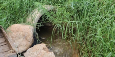 WhatsApp Image 2026-02-09 at 17.18.03