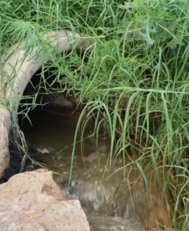 WhatsApp Image 2026-02-09 at 17.18.03