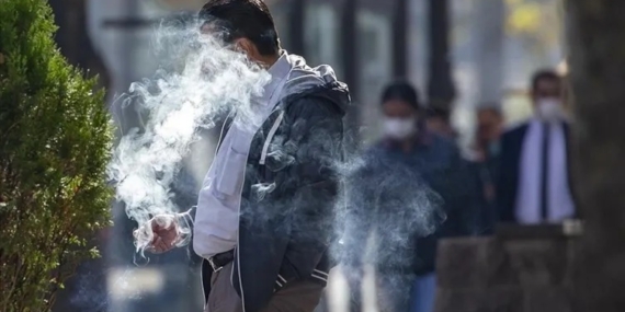 WhatsApp Image 2026-02-10 at 13.33.57