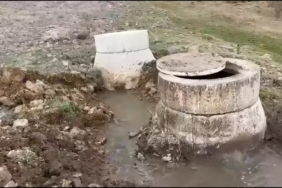 WhatsApp Image 2026-02-18 at 10.47.05