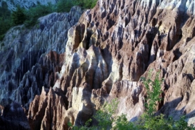 WhatsApp Image 2026-02-25 at 12.20.32