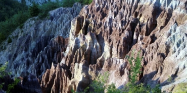 WhatsApp Image 2026-02-25 at 12.20.32