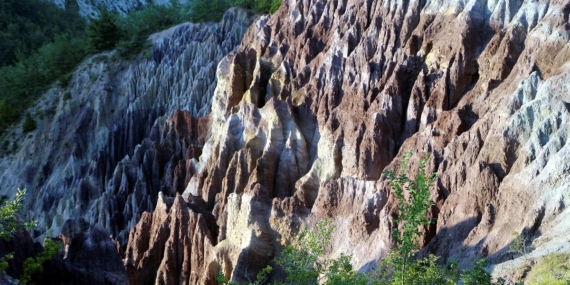 WhatsApp Image 2026-02-25 at 12.20.32