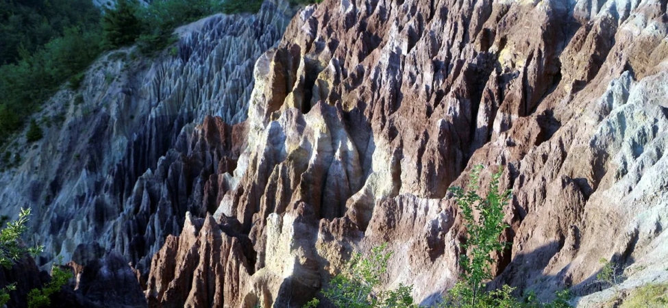 WhatsApp Image 2026-02-25 at 12.20.32