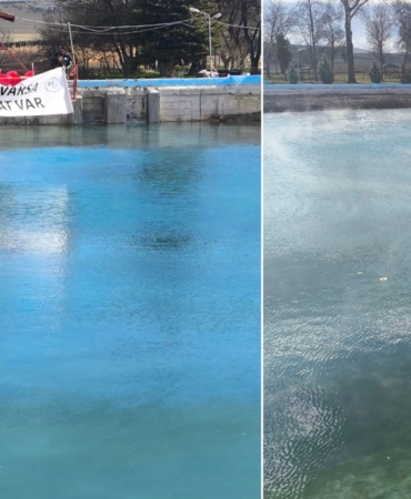 WhatsApp Image 2026-02-27 at 14.16.23