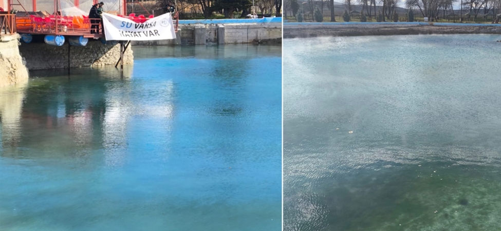 WhatsApp Image 2026-02-27 at 14.16.23