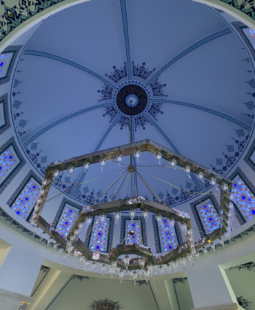 aa_picture_20260215_40560108