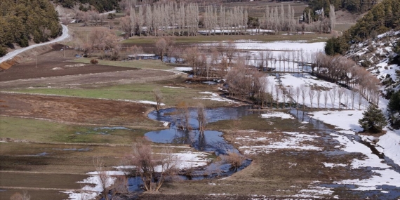 taskin-aa-2440172 (1)