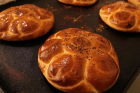 tekirdag-coregi-aa-2440171