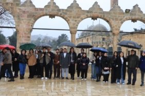 20260331133352-87237-54345