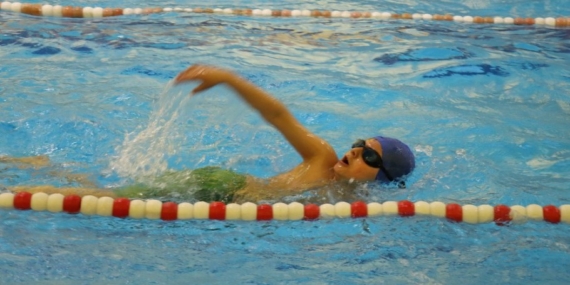 20260331133616-31801-94071