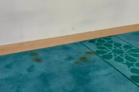 Bitlis'te camiye çirkin saldırı!