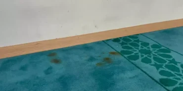 Bitlis'te camiye çirkin saldırı!