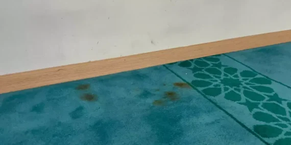 Bitlis'te camiye çirkin saldırı!