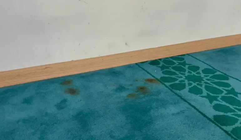 Bitlis’te camiye çirkin saldırı!