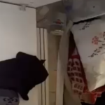 Ekran Resmi 2026-03-03 00.25.06