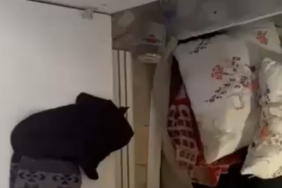 Ekran Resmi 2026-03-03 00.25.06