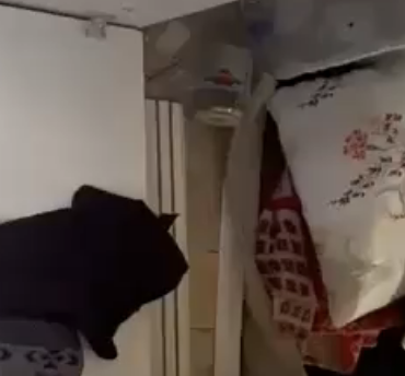 Ekran Resmi 2026-03-03 00.25.06