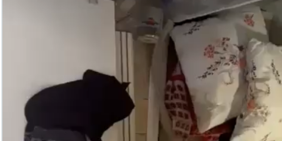 Ekran Resmi 2026-03-03 00.25.06