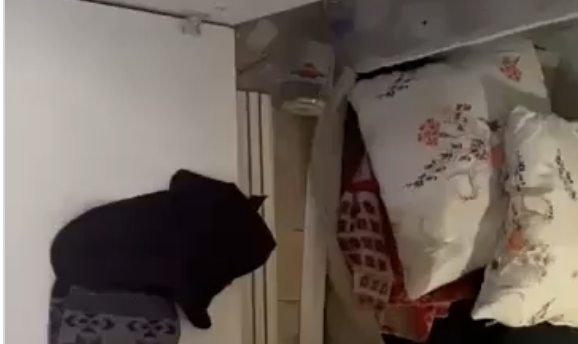 Ekran Resmi 2026-03-03 00.25.06