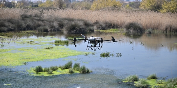 Manisa Büyükşehir Belediyesi’nden Vektörle Mücadelede Yoğun Mesai