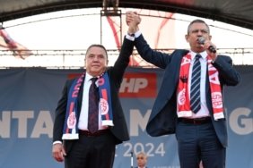 WhatsApp Image 2026-03-22 at 15.35.50