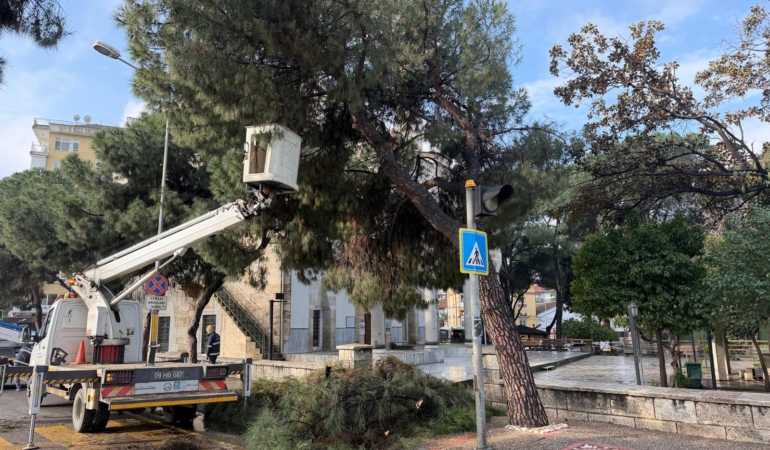 Aydın’ın Yeşil Dokusunu Geleceğe Taşıyan Çalışma