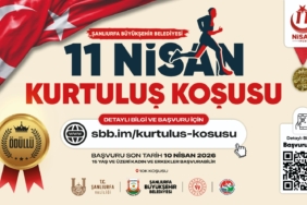 WhatsApp Image 2026-04-06 at 18.17.59 (5)