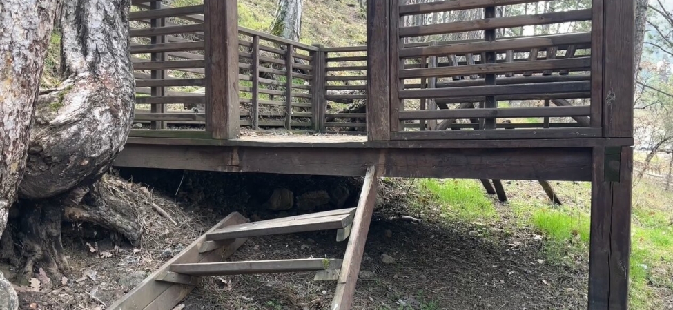 WhatsApp Image 2026-04-08 at 21.50.00 (4)